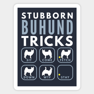 Stubborn Norwegian Buhund Tricks - Dog Training Magnet